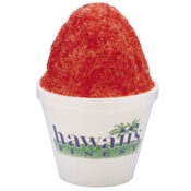 Shaved Ice Cone PACK 1 EE-ZEE CONCENTRATE Sno Kone Choose Flavors 