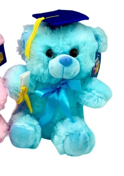 Graduation Bear Light Blue 9" Plush (each)