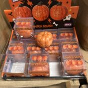 Pumpkin Squishies Crunchy style (dozen)